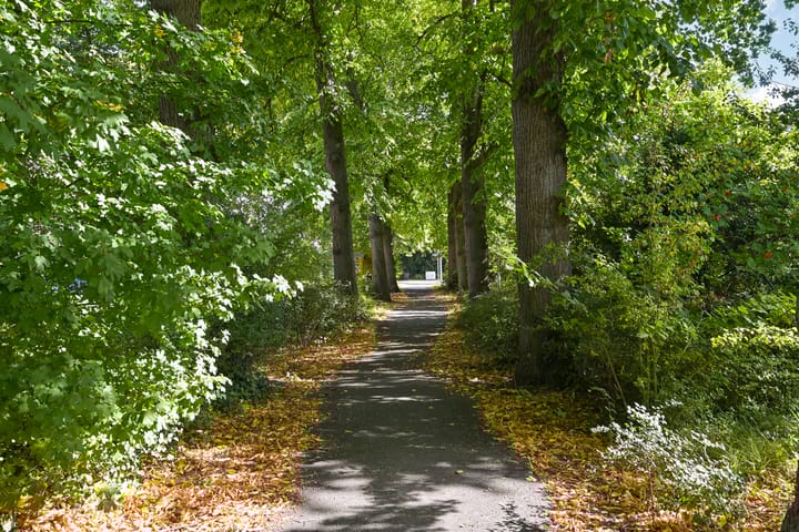 Foto 36 van De Bruynestraat 54