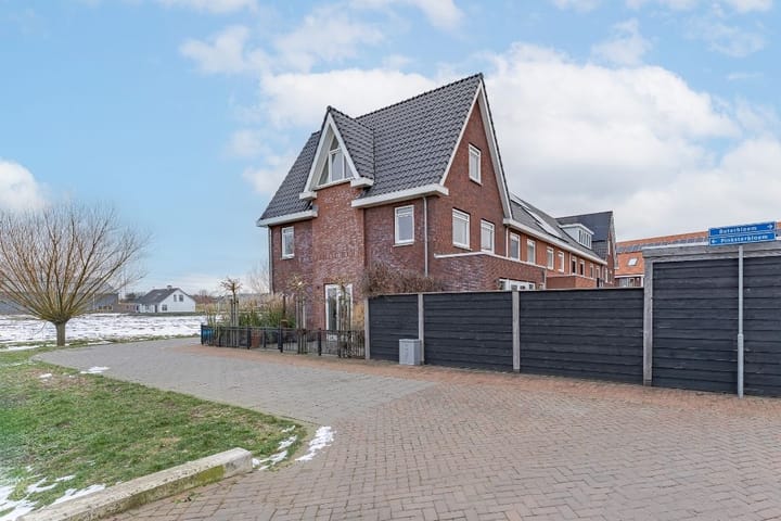 Foto 3 van Pinksterbloem 11