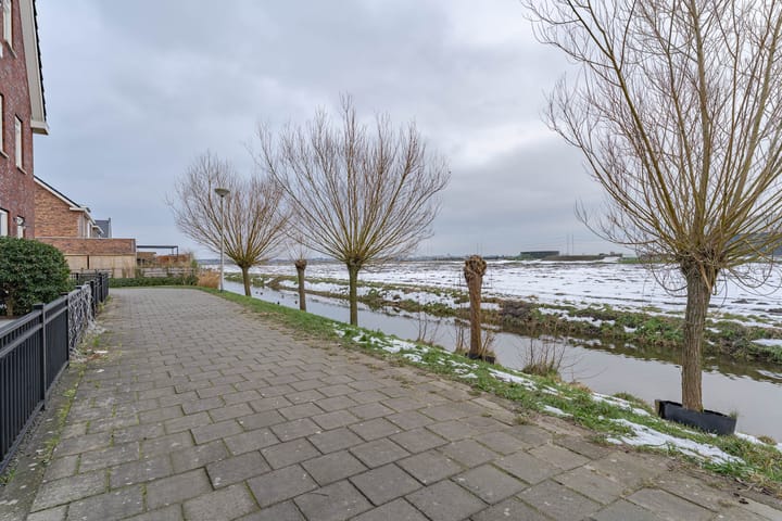 Foto 4 van Pinksterbloem 11