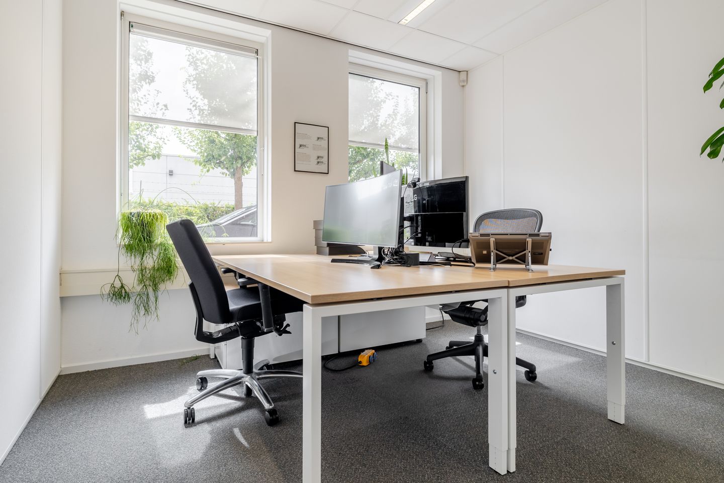 Bekijk foto 4 van Minervum 7065-A