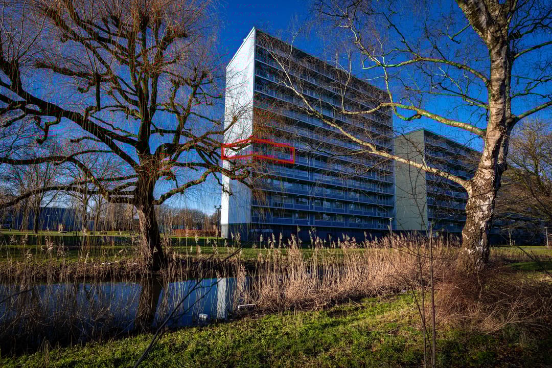 Foto 2 van Vliestroom 169