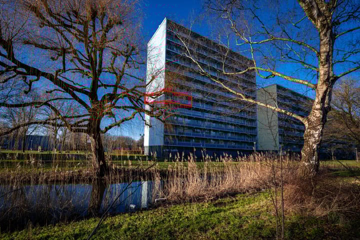 Foto 2 van Vliestroom 169