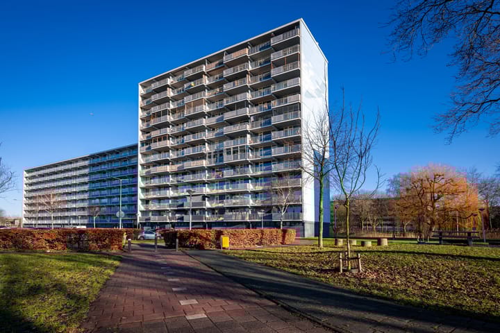 Foto 3 van Vliestroom 169