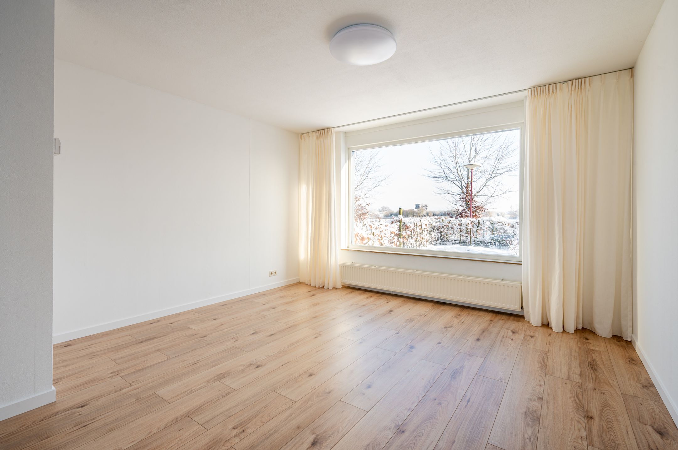 Foto 12 van Hollandse Hout 380