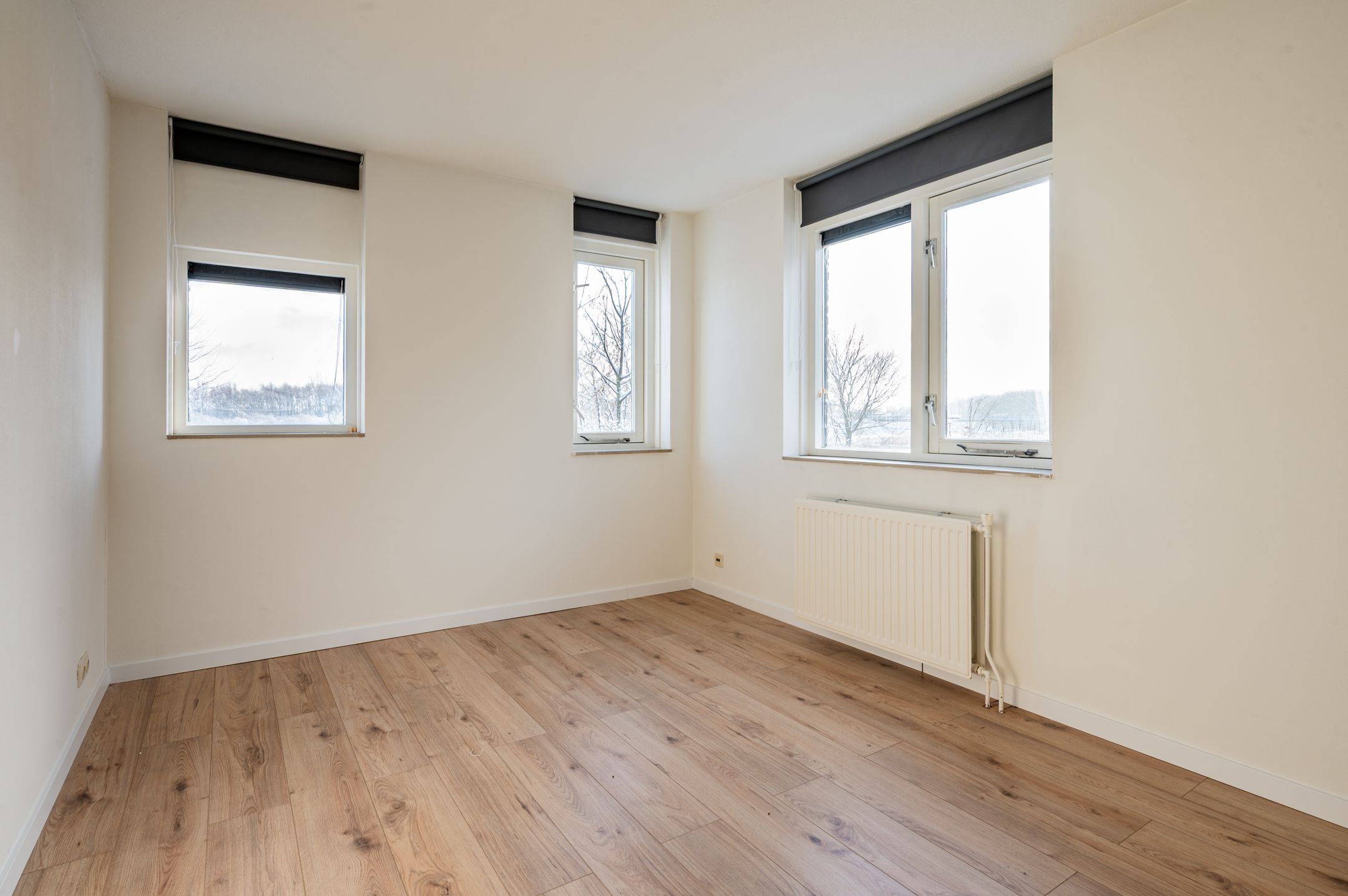 Foto 21 van Hollandse Hout 380