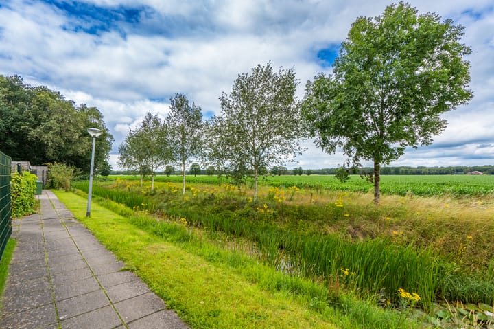 Foto 45 van Boslelie 58