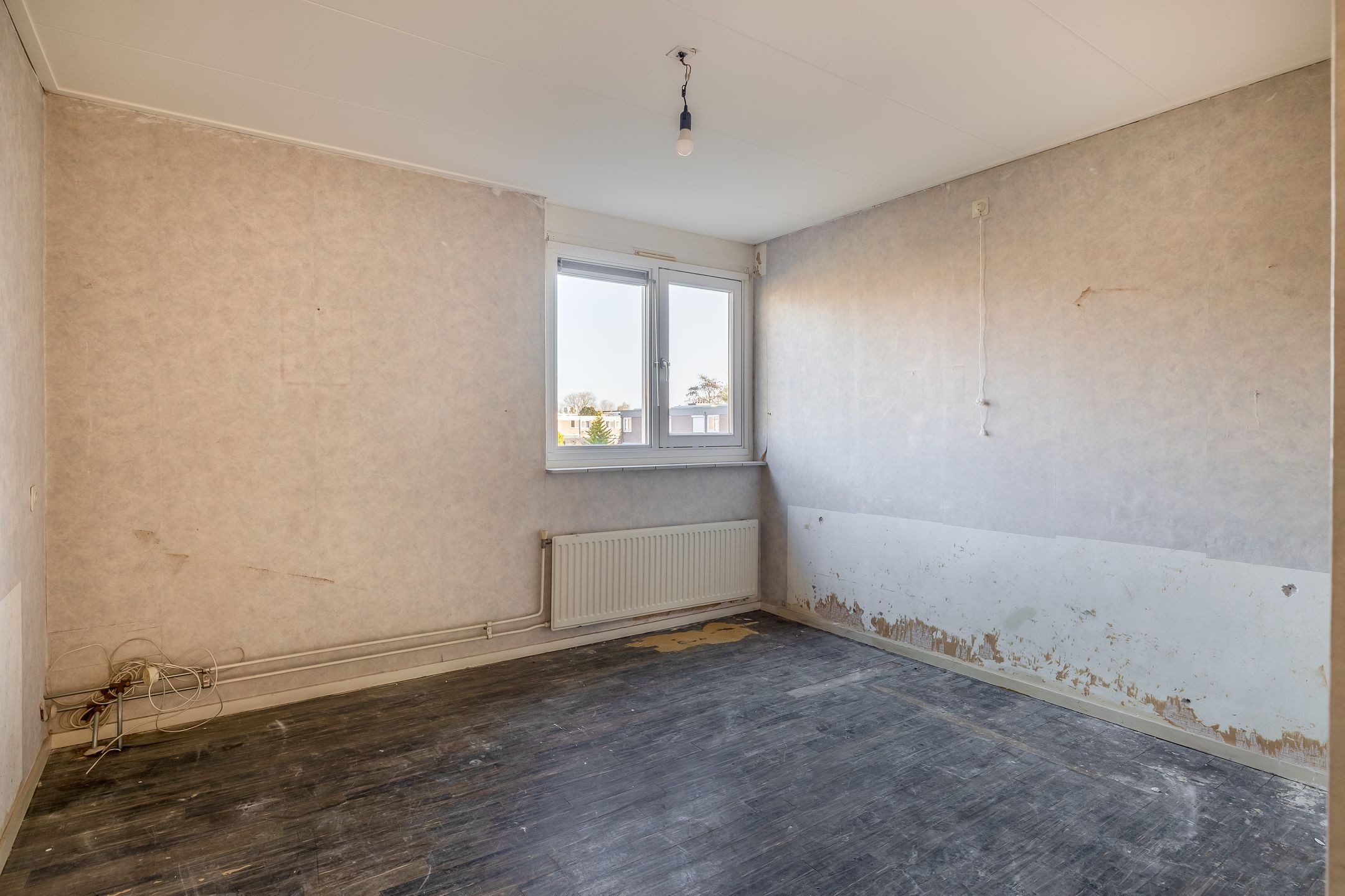 Photo 15 of Albardastraat 40