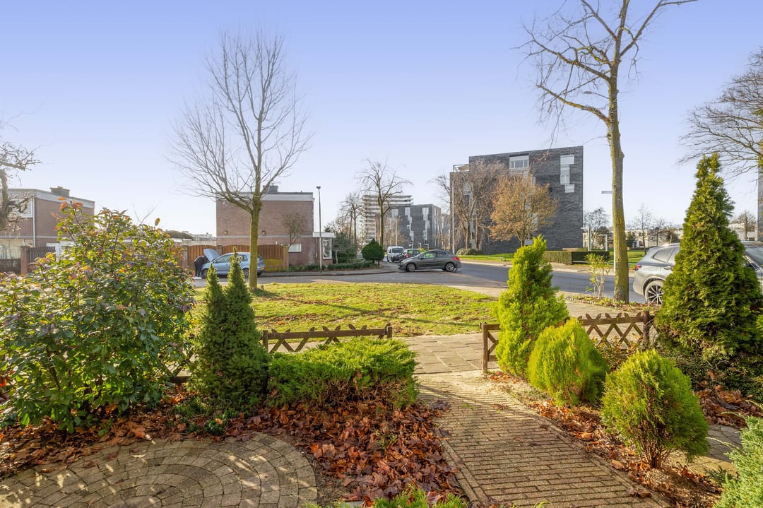 Photo 38 of Albardastraat 40