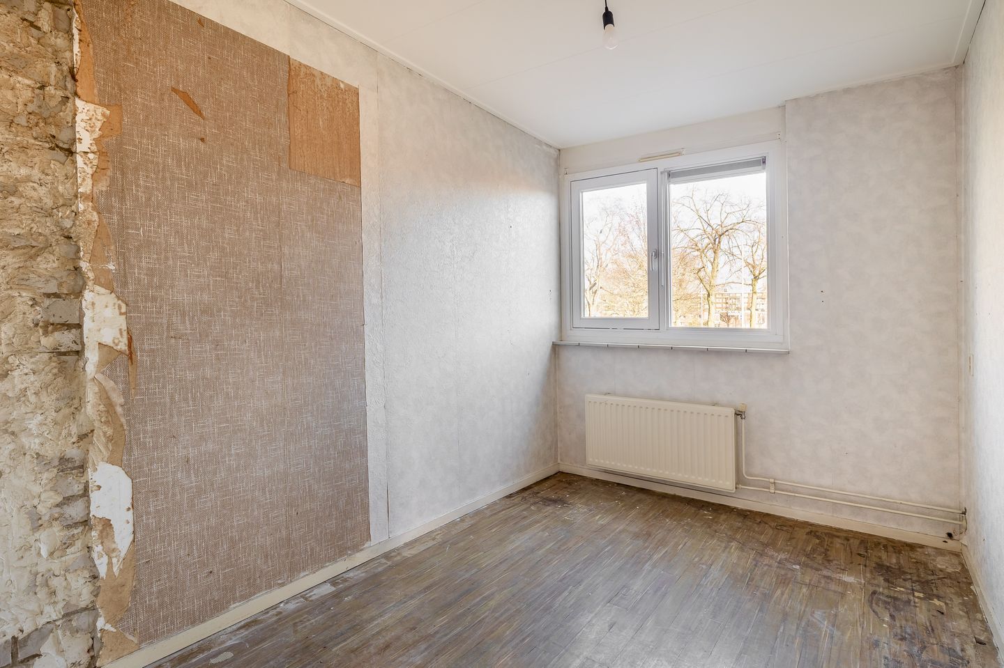 Photo 19 of Albardastraat 40