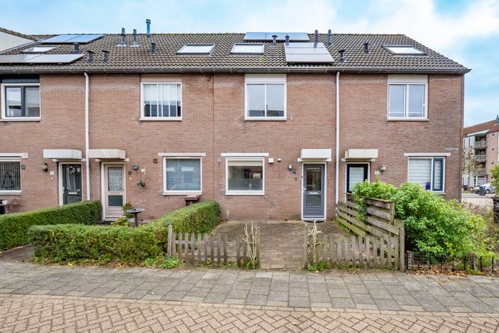 Samoas 20 main image