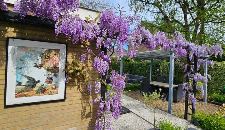 Photo 4 of Kruyderlaan 146