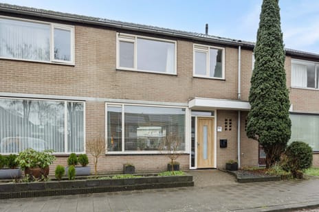 Raadhuisstraat thumbnail