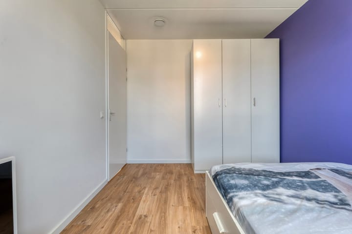 Foto 29 van Cichoreimolen 29