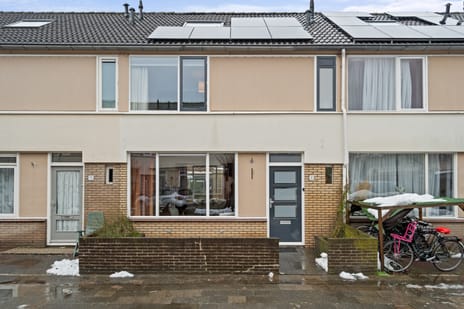 Ananasstraat thumbnail