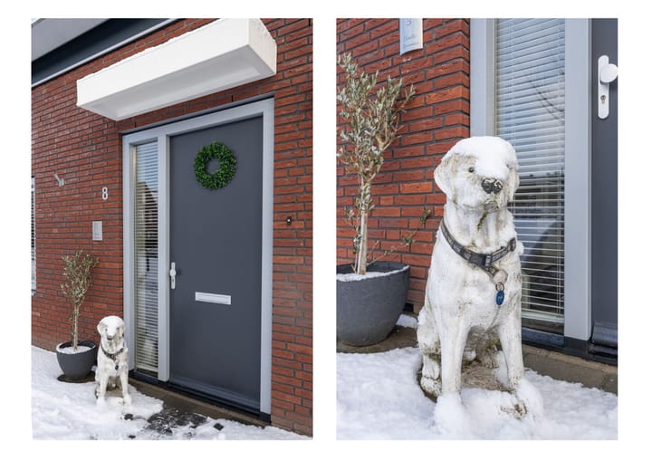 Foto 5 van Rozenpad 8