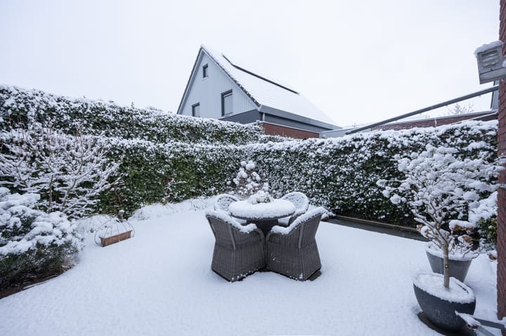 Foto 42 van Rozenpad 8