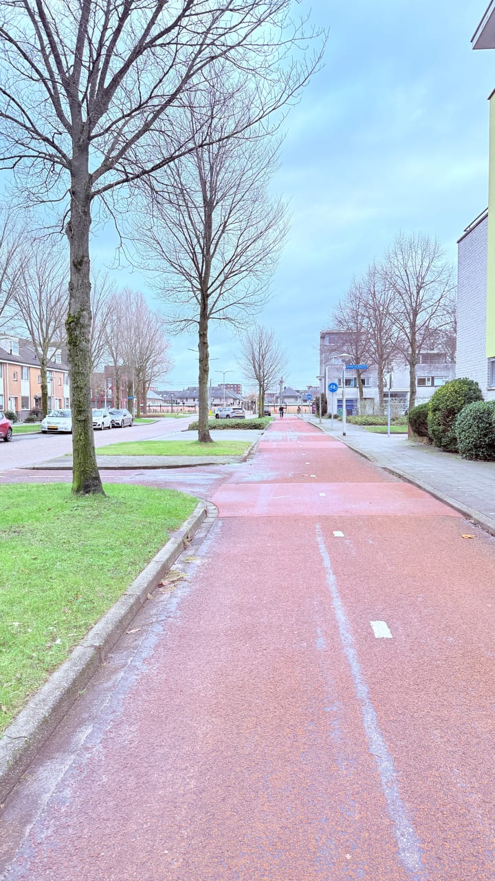 Foto 54 van Loethoelilaan 74