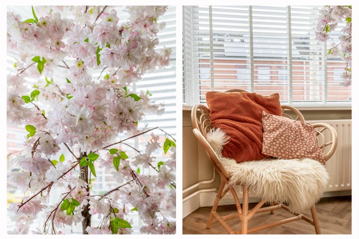 Foto 9 van Julianastraat 38