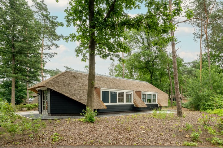 Photo 5 of Hoorneweg 17-B9