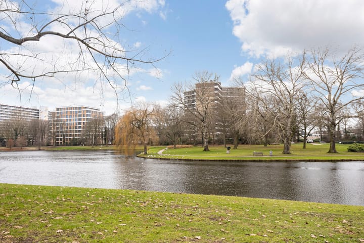 Photo 42 of Warande 18