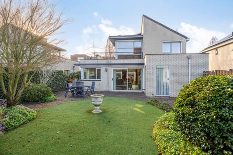 Vliegezwam thumbnail