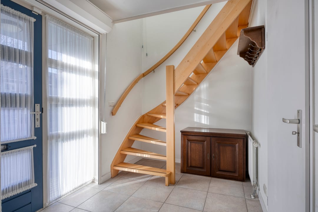 Foto 7 van Vliegezwam 3