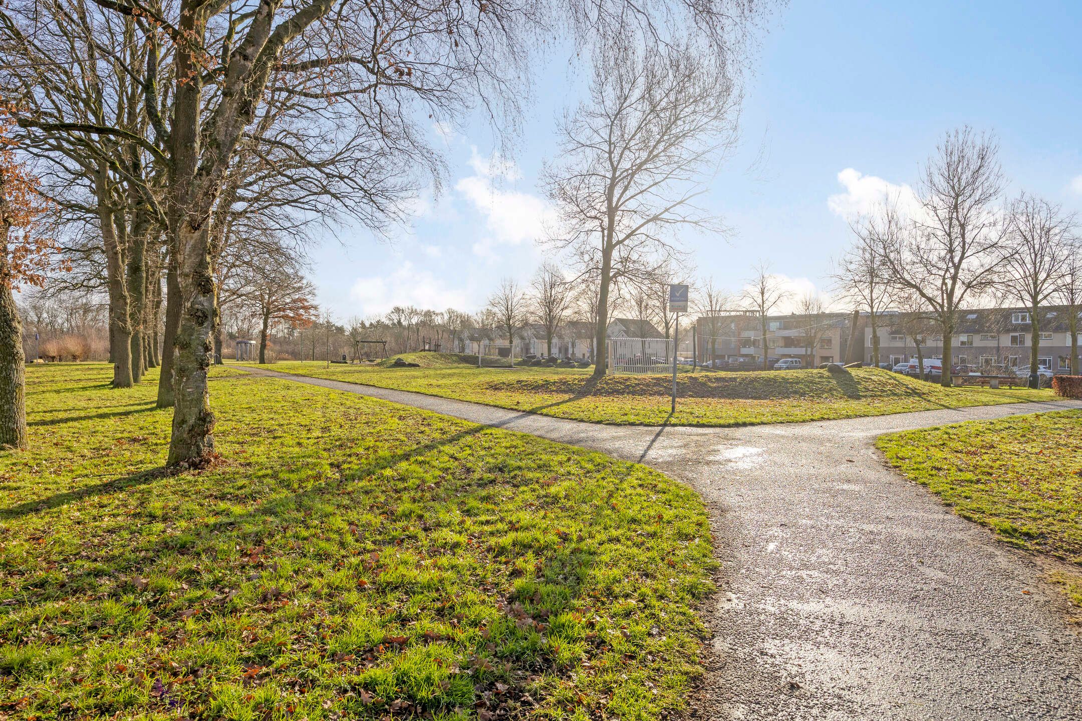 Foto 33 van Vliegezwam 3