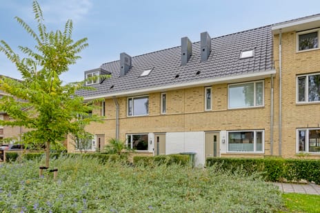 undefined main image