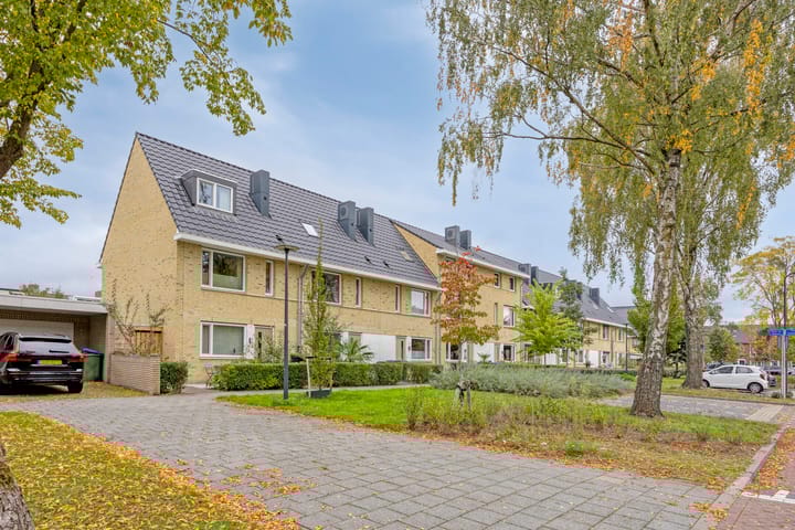 Foto 29 van Baron van Hallstraat 20