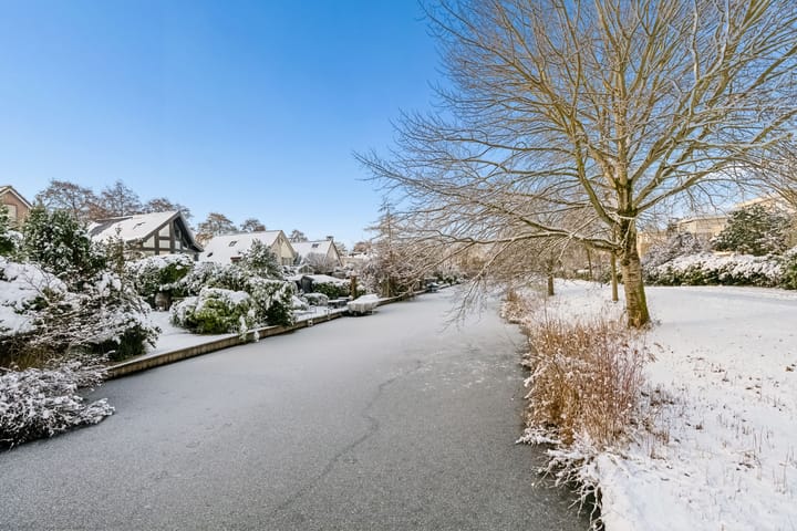 Foto 59 van Henry Fondastraat 15