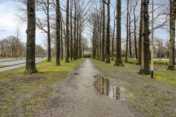 Foto 48 van Nispensestraat 104