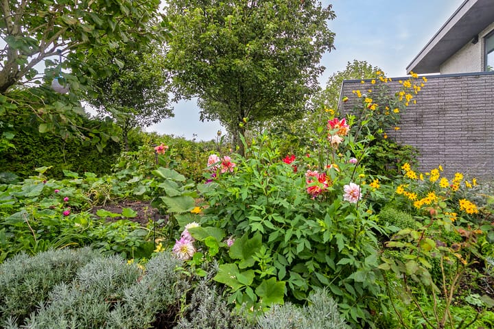 Foto 59 van Kloosterbos 16