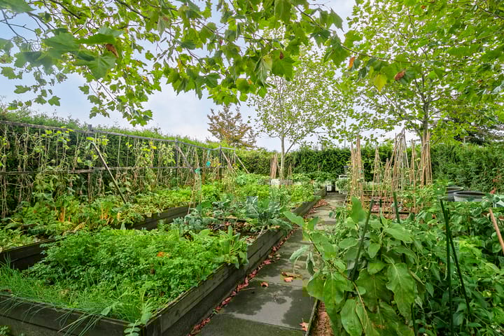 Foto 60 van Kloosterbos 16