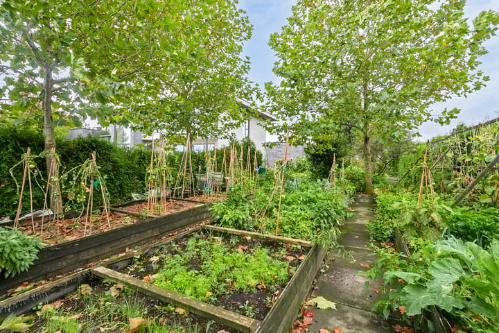 Foto 61 van Kloosterbos 16