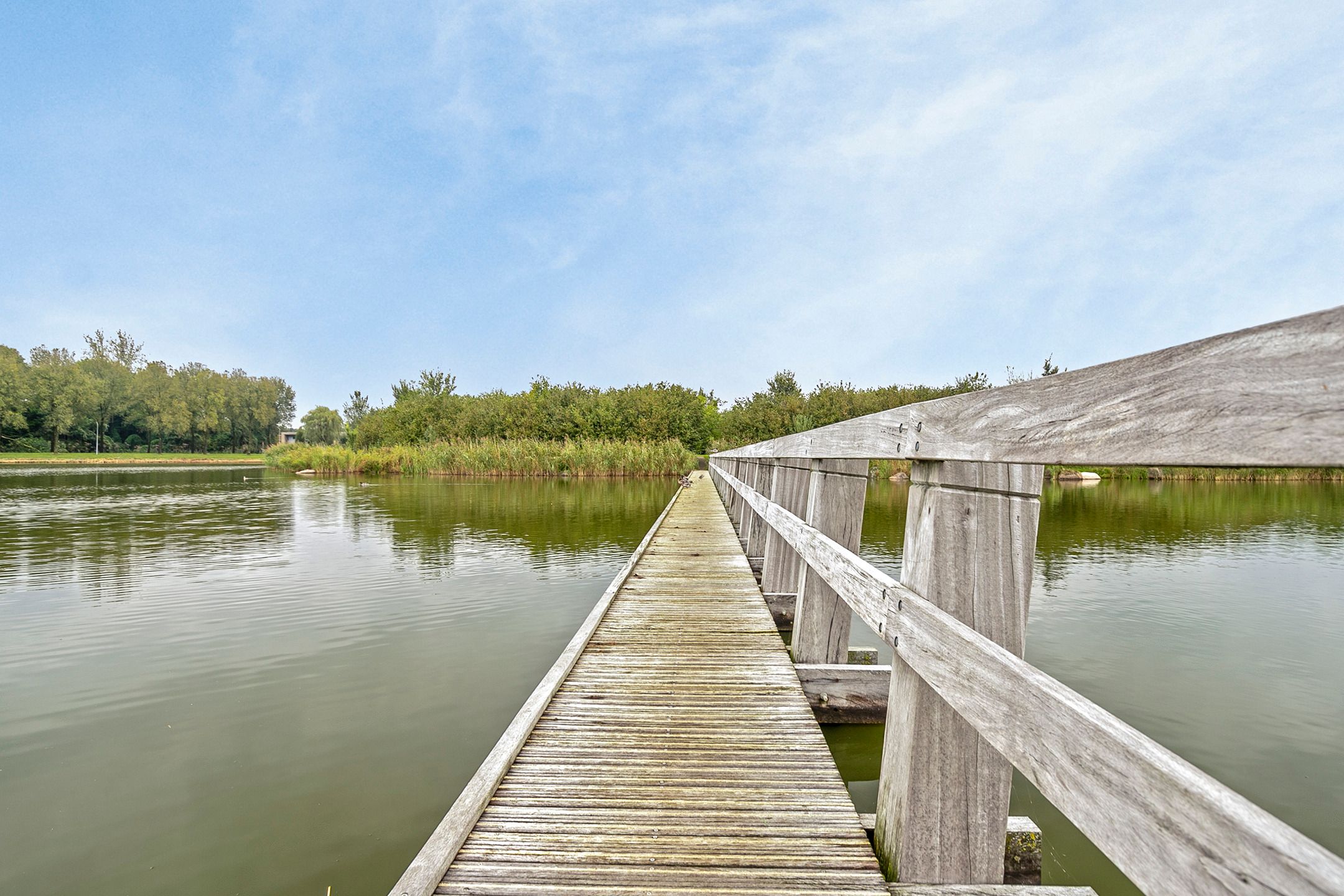 Photo 66 of Kloosterbos 16