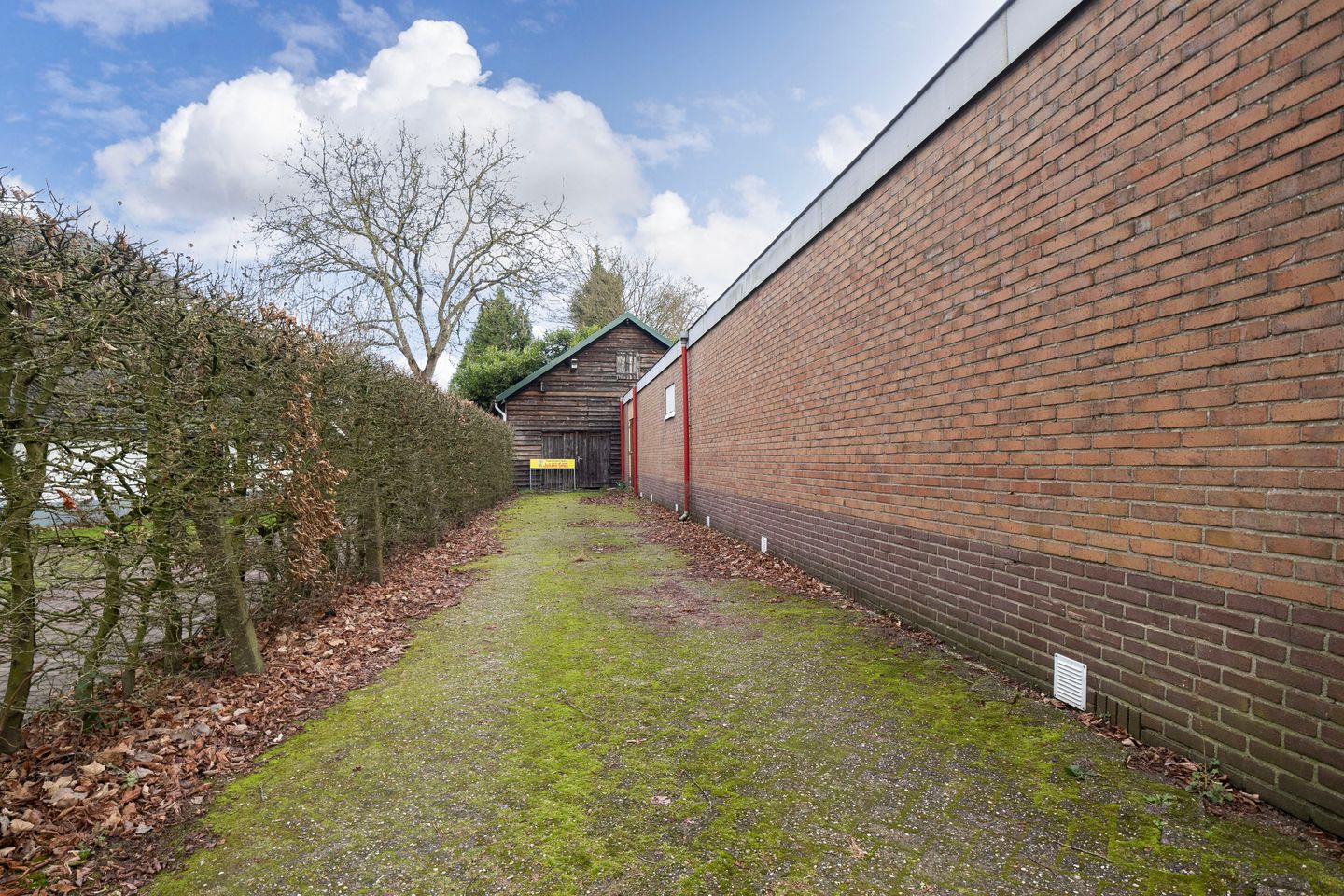 Bekijk foto 5 van Dorpsstraat 5