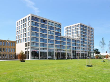 undefined main image