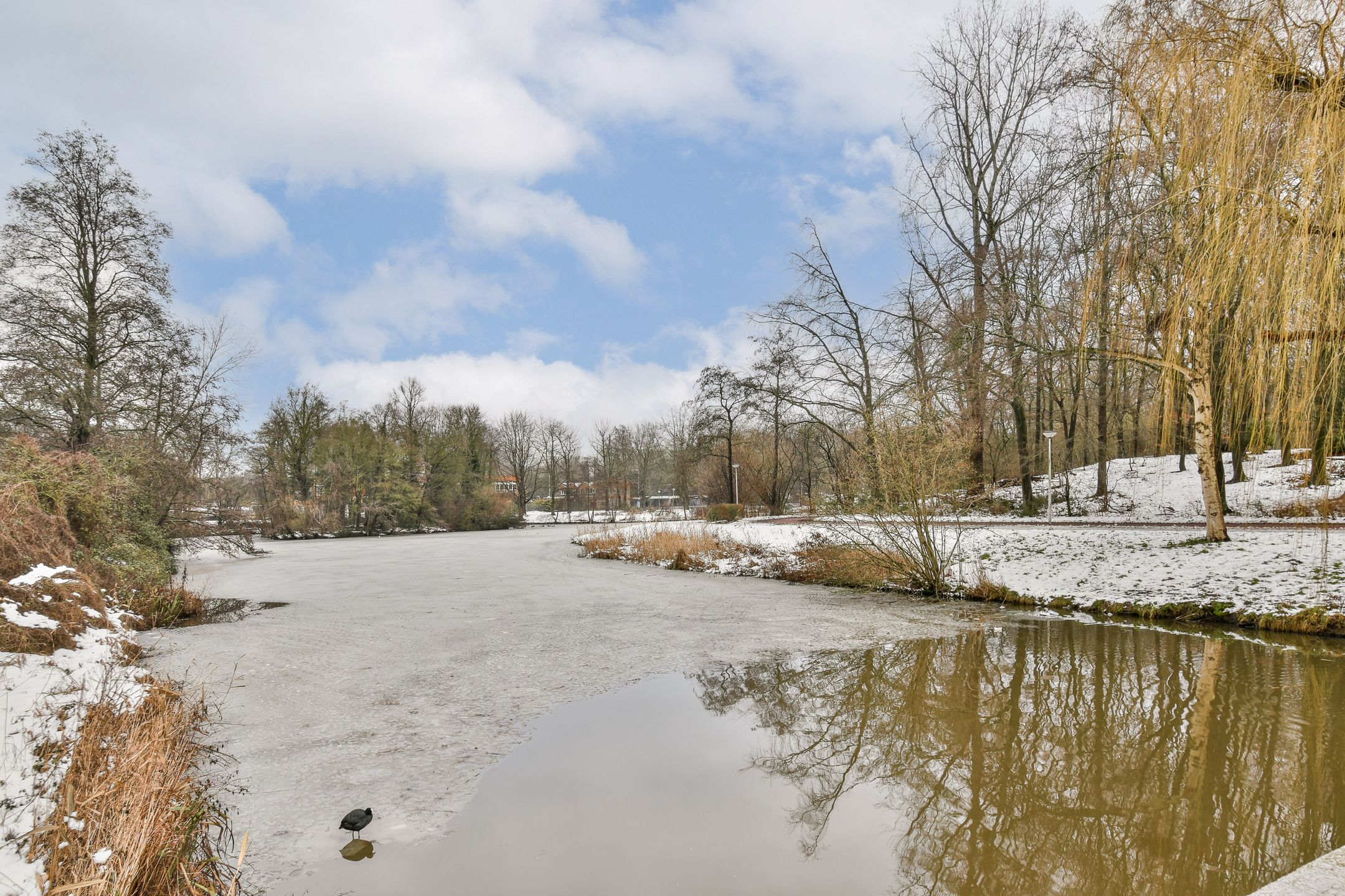 Photo 24 of IJdoornlaan 831