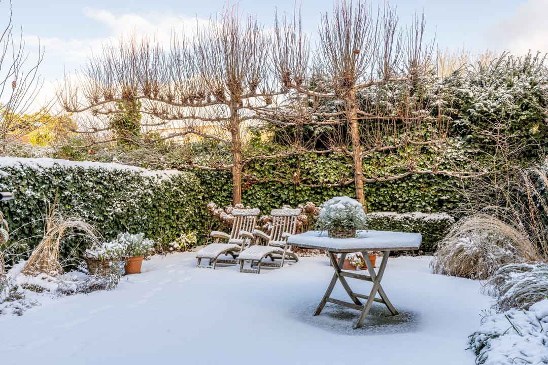 Photo 38 of Crayenesterlaan 61