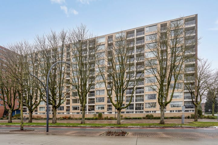 Veenstraat 238 main image