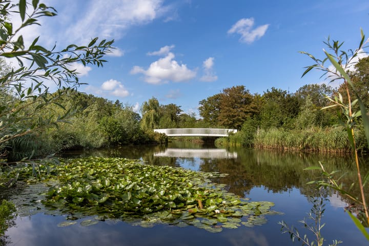 Foto 27 van Rijksstraatweg 317