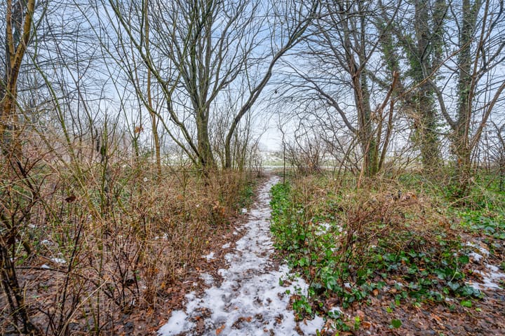 Foto 37 van Tjariet 44