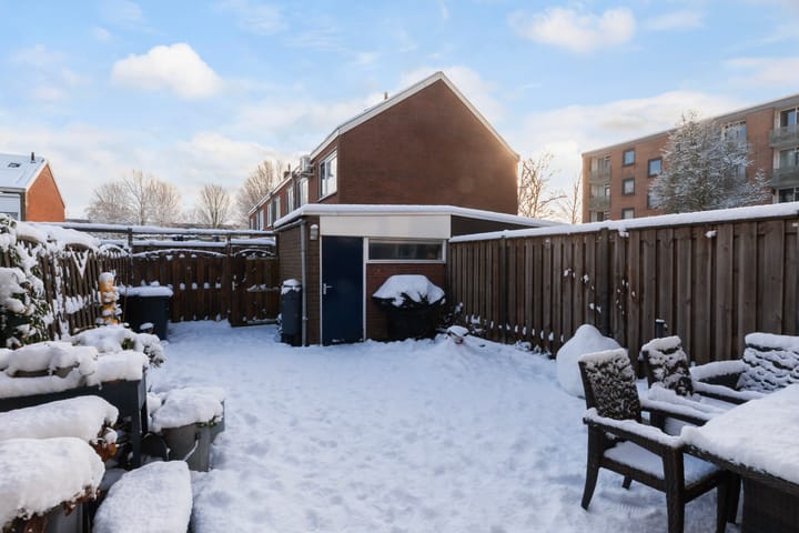 Foto 35 van Treubstraat 3