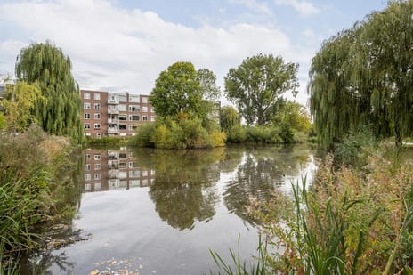 van Slingelandtstraat 11-C tertiary image