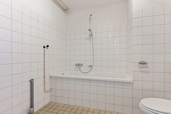 Foto 18 van Het Zwanevlot 195