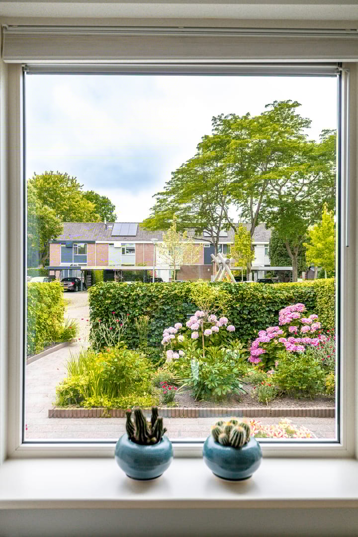 Foto 14 van Golfslag 83