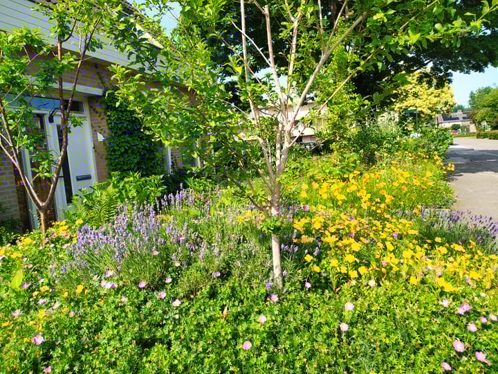 Foto 50 van Wederikdreef 2-A