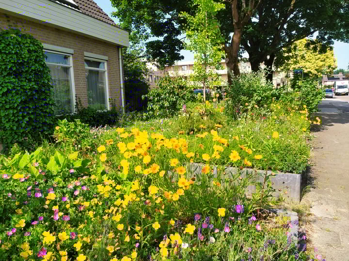 Foto 51 van Wederikdreef 2-A