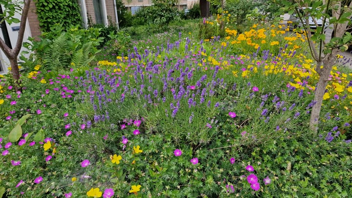 Foto 52 van Wederikdreef 2-A