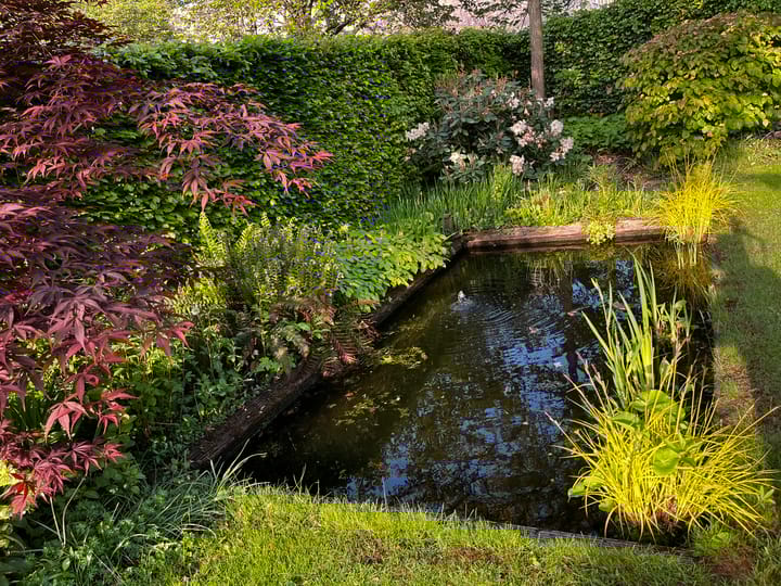 Foto 54 van Wederikdreef 2-A